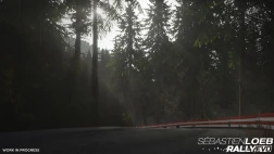 Immagine #1251 - Sébastien Loeb Rally EVO
