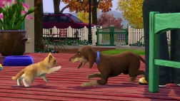 Immagine #21068 - The Sims 3: Pets