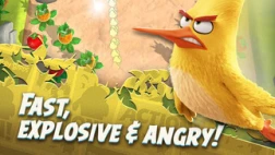 Immagine #3799 - Angry Birds Action!