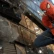 Spider-Man torna a mostrarsi in uno spettacolare trailer