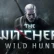 Un nuovo video gameplay per The Witcher 3  Wild Hunt