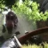 Ark Survival Evolved si aggiorna su Xbox One
