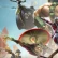 Battleborn: Disponibile il nuovo DLC della storia e svelato in trentesimo eroe