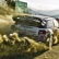 Annunciato l&#039;arrivo della demo di Sébastien Loeb Rally EVO