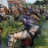 Total War: Three Kingdoms ha superato il milione di copie vendute