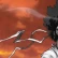 Primo trailer per Afro Samurai 2: Revenge of Kuma
