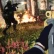 ModalitÀ "fireteam dirty bomb" di cod cold war free beta nel weekend