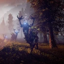 Immagine #7170 - Horizon: Zero Dawn