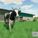 Immagine #15748 - Farming Simulator 22