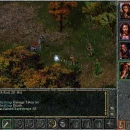 Immagine #22944 - Baldur's Gate