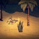 Immagine #5972 - Don't Starve: Shipwrecked