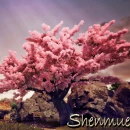 Immagine #3239 - Shenmue III