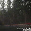 Immagine #1251 - Sébastien Loeb Rally EVO