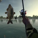 Immagine #12805 - Ultimate Fishing Simulator