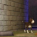 Immagine #21064 - The Sims 3: Pets