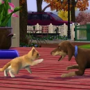 Immagine #21068 - The Sims 3: Pets