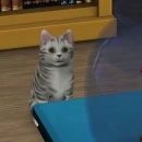 Immagine #21071 - The Sims 3: Pets