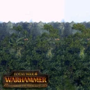 Immagine #7537 - Total War: Warhammer - Realm of the Wood Elves