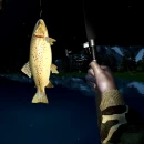 Immagine #12801 - Ultimate Fishing Simulator