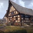 Immagine #8543 - The Elder Scrolls Online