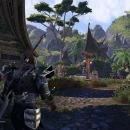 Immagine #14043 - The Elder Scrolls Online: Dragonhold