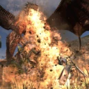 Immagine #303 - Dragon's Dogma Online