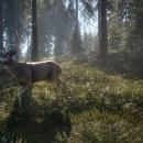 Immagine #9042 - theHunter: Call of the Wild