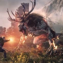 Immagine #722 - The Witcher 3: Wild Hunt