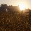 Immagine #9718 - Red Dead Redemption 2