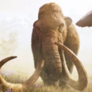 Prime immagini per Far Cry: Primal