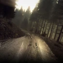 Immagine #14194 - DiRT Rally 2.0