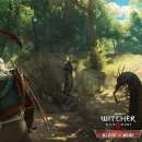 Immagine #3968 - The Witcher 3: Wild Hunt - Blood and Wine