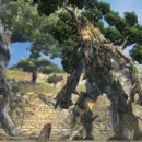 Immagine #309 - Dragon's Dogma Online