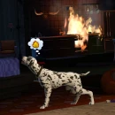 Immagine #21061 - The Sims 3: Pets