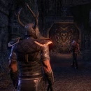 Immagine #10278 - The Elder Scrolls Online: Morrowind