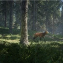 Immagine #7661 - theHunter: Call of the Wild