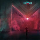 Immagine #25534 - Once Human