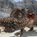 Immagine #305 - Dragon's Dogma Online