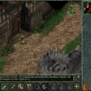 Immagine #22943 - Baldur's Gate