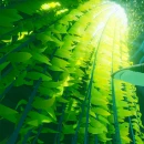 Immagine #6090 - ABZÛ