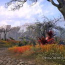 Immagine #14038 - The Elder Scrolls Online: Dragonhold