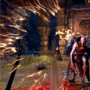 Immagine #10655 - The Elder Scrolls Online