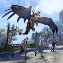 Immagine #12427 - The Elder Scrolls Online: Summerset