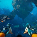 Subnautica 2: finalmente arriva il multiplayer nel nuovo capitolo della serie