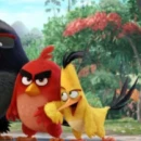 Trailer del film di Angry Birds