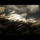 Immagine #11136 - Ghost of Tsushima