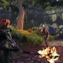 Immagine #14036 - The Elder Scrolls Online: Dragonhold