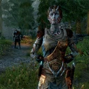 Immagine #10652 - The Elder Scrolls Online