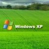 Codici sorgenti di windows xp diffusi nel web per oltre 10 giorni