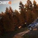 Immagine #8425 - DiRT 4